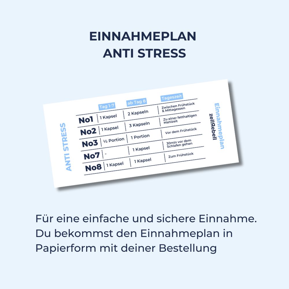 Einnahmeplan Sparpaket Anti Stress